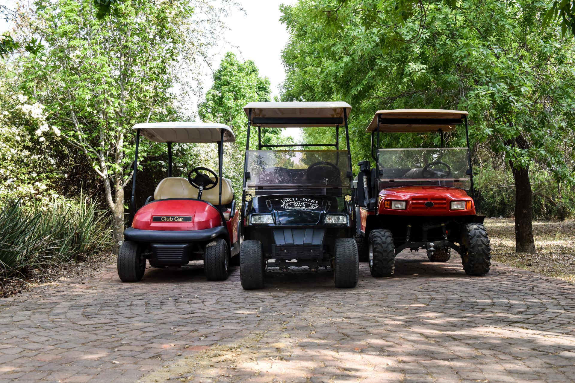 The Golf Cart Company (43)